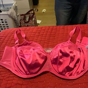 42K elomi bra